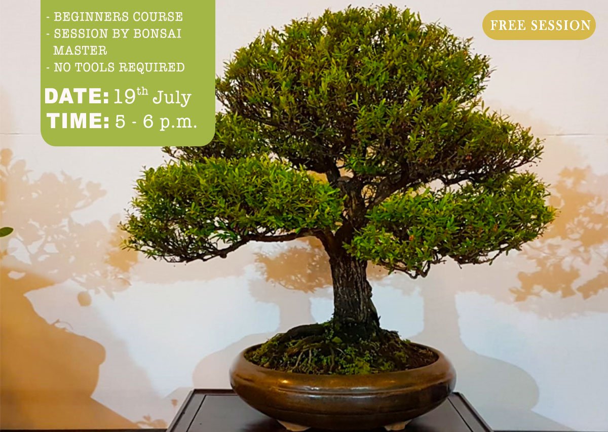 Event to learn basics of Bonsai